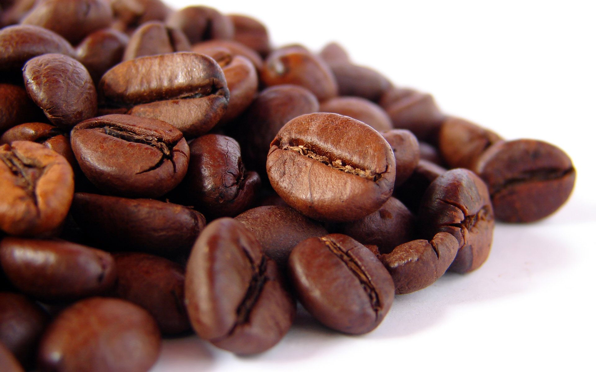 Cafe nguyên chất Robusta