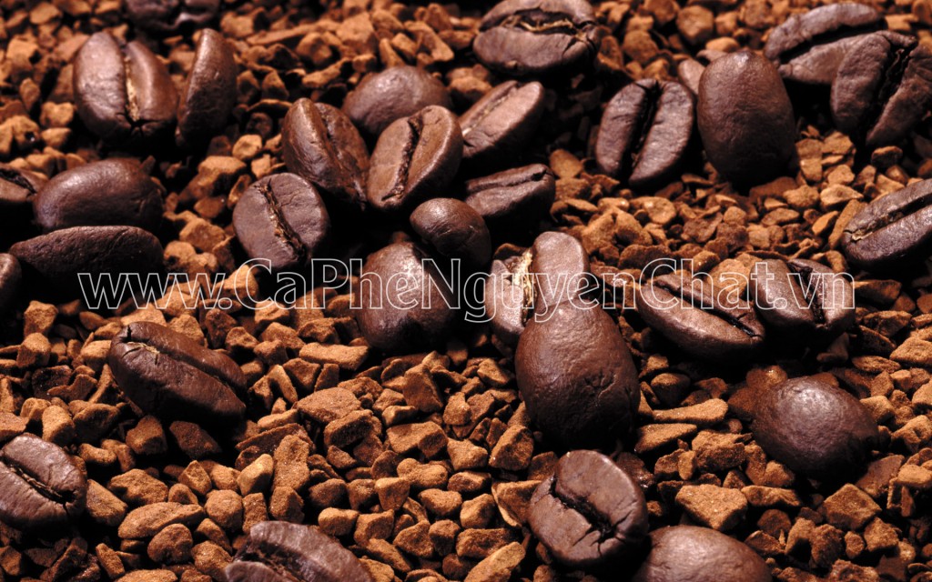 cafe sạch rang xay uy tín, chất lượng cao tây nguyên