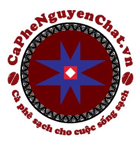 Cong-Ty-Mua-Ban-San-Xuat-Che-Bien-Cafe-Ca-Phe-Coffee-Hat-Nhan-Bot-Tuoi-Nguyen-Chat-Sach