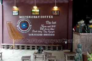 Mô hình kinh doanh cafe những năm gần đây đã không còn xa lạ, đặc biệt là với các bạn mới bắt đầu kinh doanh. Cùng Nguyen Chat Coffee tìm hiểu tại sao loại hình kinh doanh này lại được nhiều người lựa chọn như vậy.